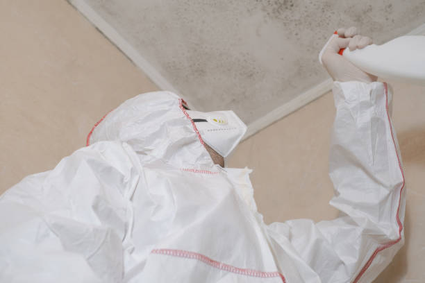 Best Home Mold Removal  in Wappingers Falls, NY